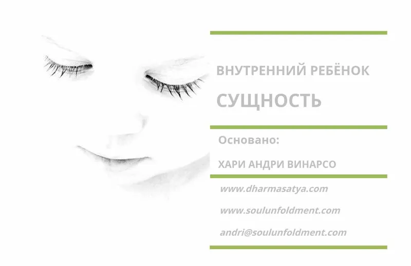 Скачать курс «Внутренний ребенок Сущность (Хари Андри Винарсо)» — слив курса
