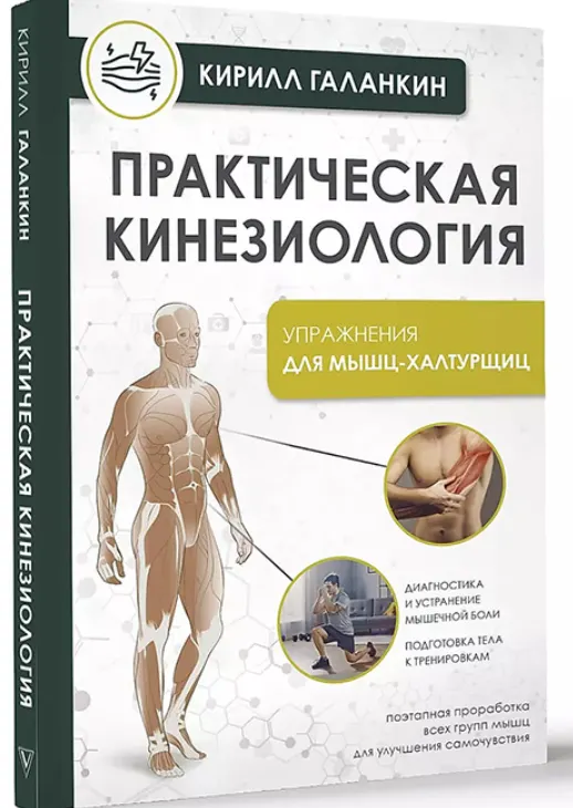 Скачать курс «Практическая кинезиология. Упражнения для мышц-халтурщиц (Кирилл Галанкин)» — слив курса