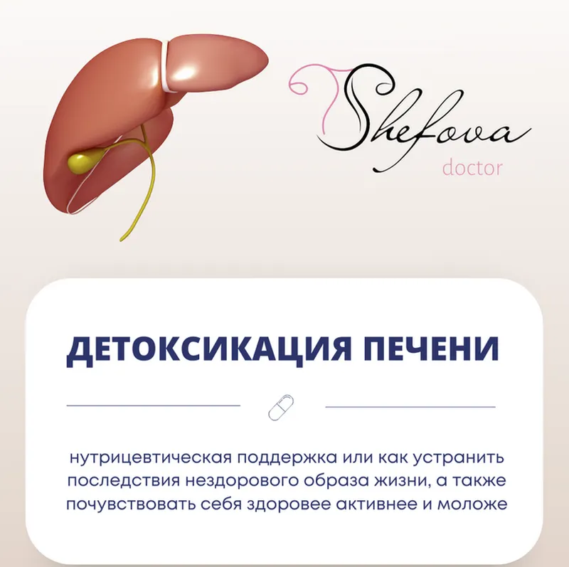 Скачать курс «Детоксикация печени (Юлия Шефова)» — слив курса