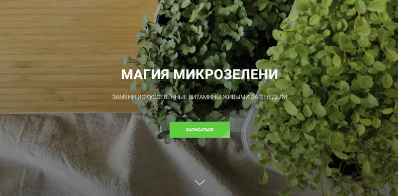 Скачать курс «Магия микрозелени (Ольга Халина)» — слив курса