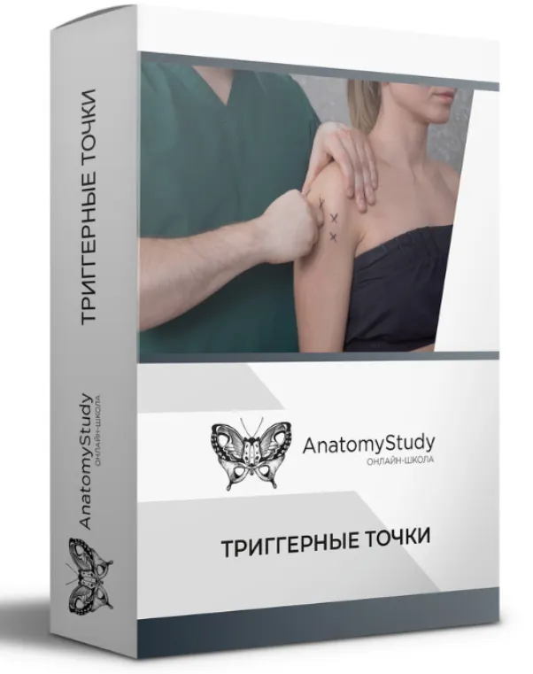 Скачать курс «[Анатомия] Триггерные точки (Сергей Скворцов)» — слив курса