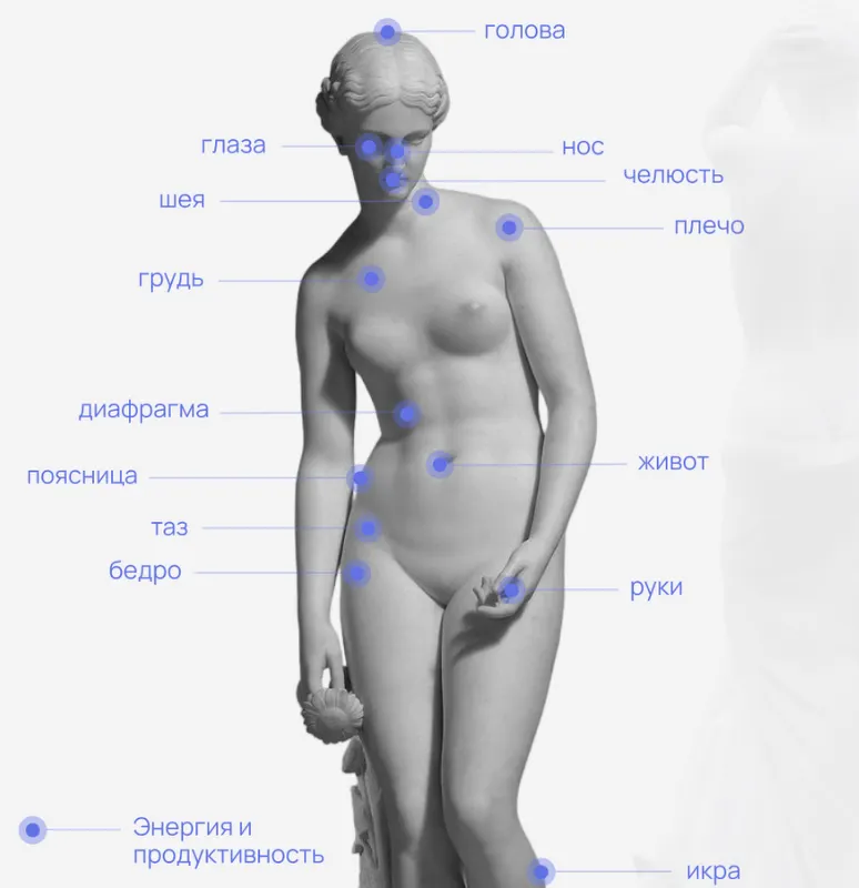 Скачать курс «Большая энциклопедия по телесно-ориентированной терапии (Анна Протасова)» — слив курса