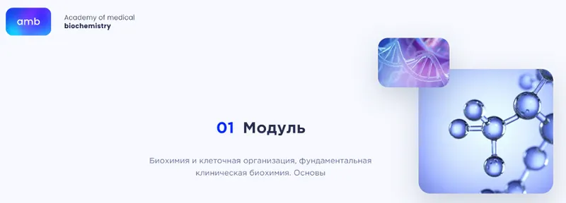 Скачать курс «[amb] Основы биохимии. 1 модуль (Елизавета Радевич)» — слив курса