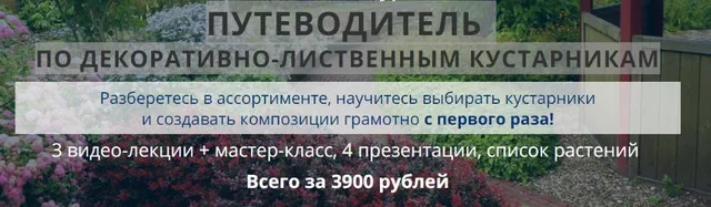 Скачать курс «Путеводитель по декоративно-лиственным кустарникам (Наталья Мягкова)» — слив курса