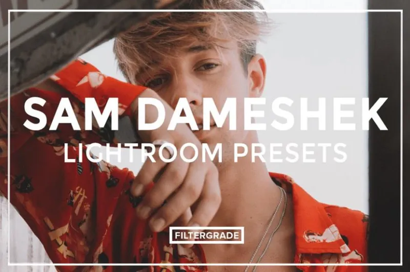 Скачать курс «Пресеты лайтрум  Lightroom Presets PC (Sam Dameshek)» — слив курса