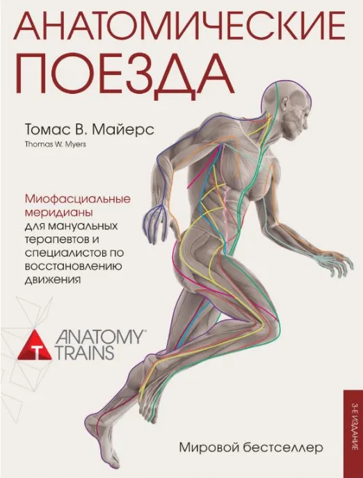 Скачать курс «Анатомические поезда. Третье издание (Томас Майерс)» — слив курса