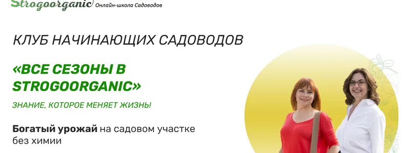 Скачать курс «Все сезоны в Strogoorganic. Тариф 12 месяцев (Strogoorganic)» — слив курса