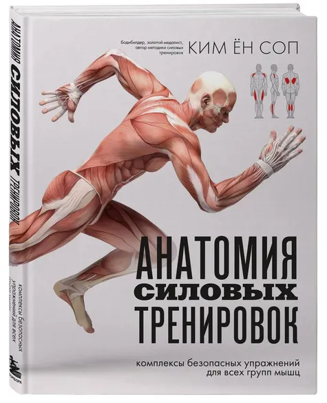 Скачать курс «Анатомия силовых тренировок (Ким Ён Соп)» — слив курса
