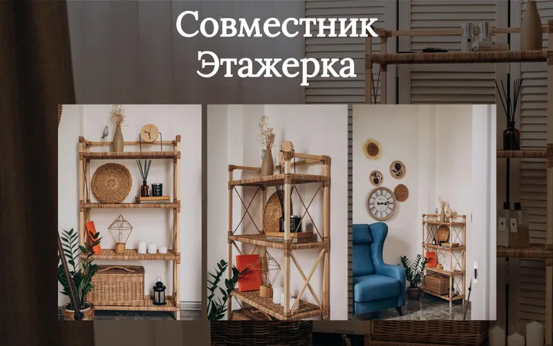 Скачать курс «Совместник Этажерка (Ольга Оболенская)» — слив курса