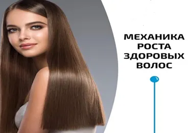 Скачать курс «Механика роста здоровых волос (Владимир Животов)» — слив курса