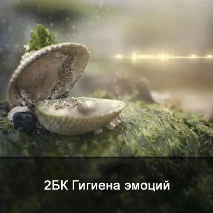 Скачать курс «2БК Гигиена эмоций. Техника эмоциональной медитации (Ксения Меньшикова)» — слив курса