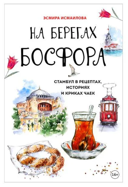 Скачать курс «На берегах Босфора. Стамбул в рецептах, историях и криках чаек (Эсмира Исмаилова)» — слив курса