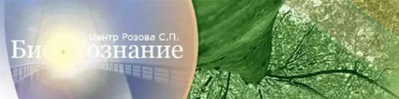 Скачать курс «Биоэнергетика (Сергей Розов)» — слив курса