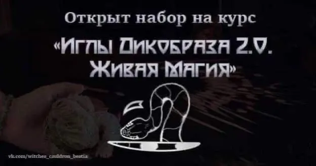 Обложка курса «Иглы Дикобраза 2.0. Живая Магия (Татьяна Гончарова, Наталья Петрик)»
