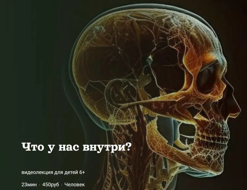 Скачать курс «[Детский лекторий] Что у нас внутри? (Александр Толмачев)» — слив курса