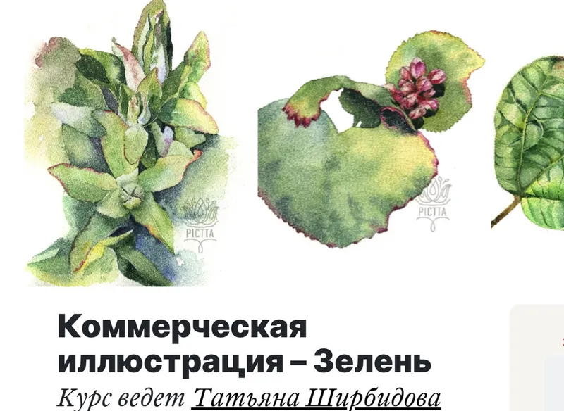 Скачать курс «Коммерческая иллюстрация «Зелень» (Татьяна Ширбидова)» — слив курса