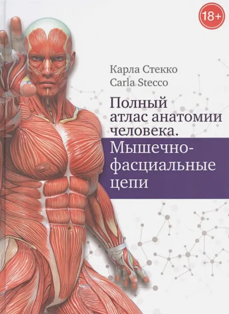 Скачать курс «Полный атлас анатомии человека. Мышечно-фасциальные цепи (Карла Стекко)» — слив курса