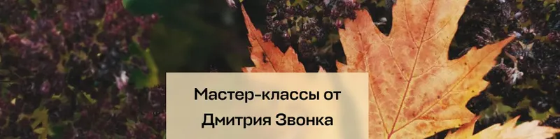 Скачать курс «[Умный Садовник] 6 Мастер Классов по арбористике и ландшафтному дизайну (Дмитрий Звонка, Андрей Дарусенков)» — слив курса