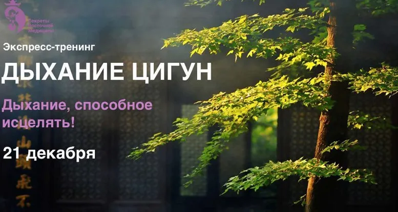 Скачать курс «Дыхание цигун (Владимир Осипoв)» (Владимир Осипов) — слив курса