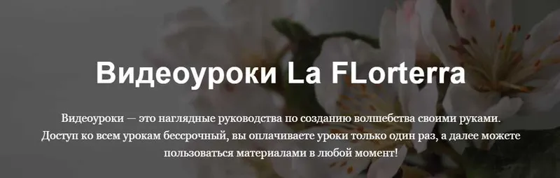 Скачать курс «Улитка [La FLorterra]» — слив курса