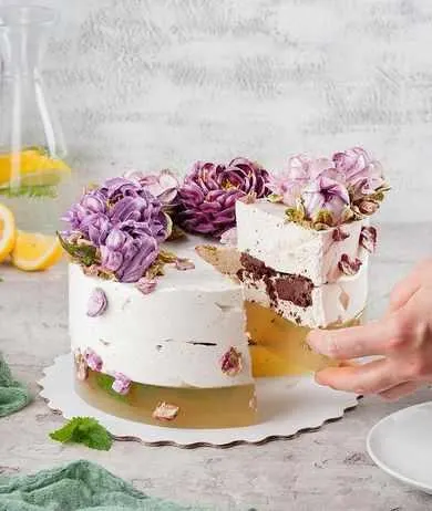 Скачать курс «Кремовая флористика, 7 сезон: Зефирные торты, зефирная флористика (malinovka_tort)» — слив курса