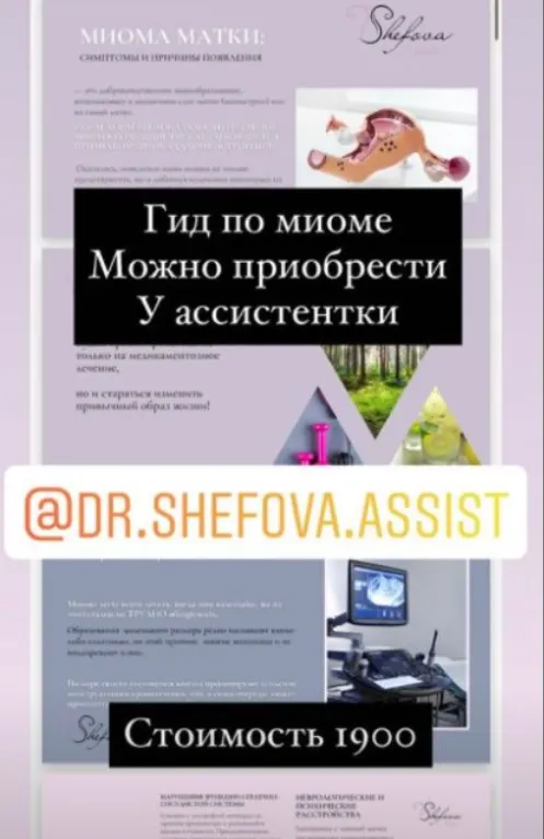 Скачать курс «Гид по миоме (Юлия Шефова)» — слив курса