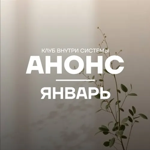 Скачать курс «[Pure peptides] Внутри системы. Январь 2026» — слив курса