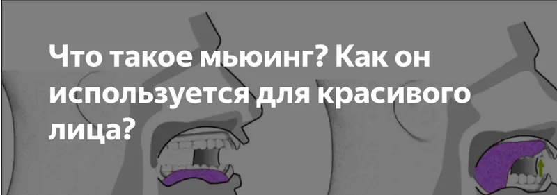 Скачать курс «Мьюнинг: как положение языка меняет внешность (Татьяна Чекалова)» — слив курса