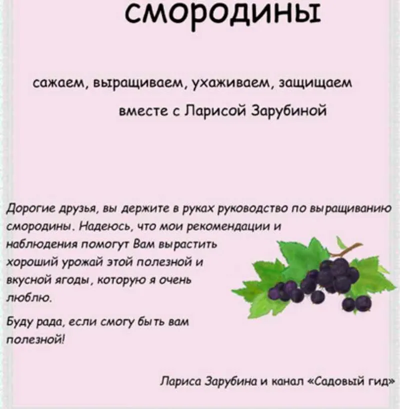 Скачать курс «[Садовый Гид] Смородина от А до Я (Лариса Зарубина)» — слив курса