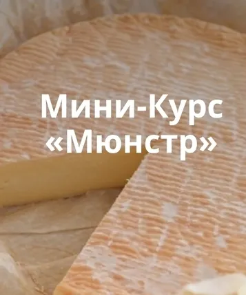 Скачать курс «Сыр Мюнстр. Тариф Самостоятельное изучение (Ольга Лазарева)» — слив курса