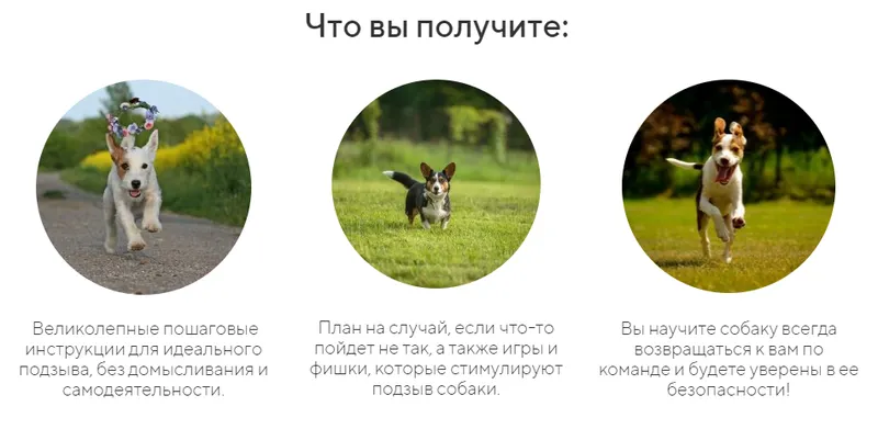 Скачать курс «[kinologschool] Идеальный подзыв. Без поводка: как научить собаку идеальному подзыву (Антонина Зимарева)» — слив курса