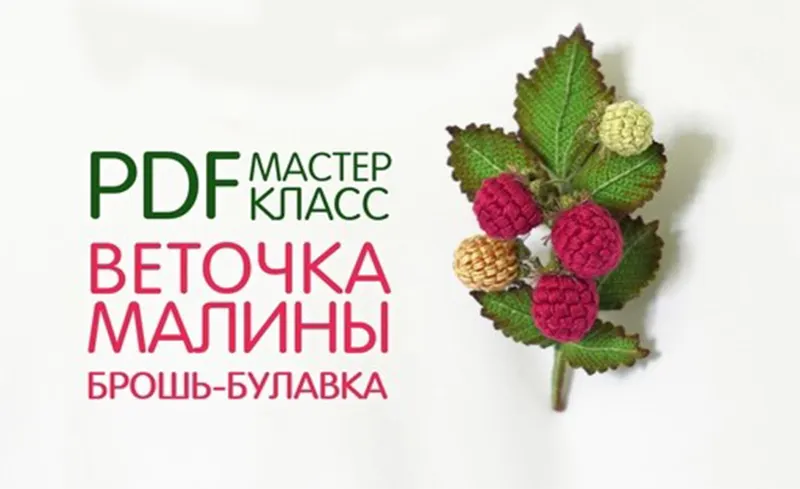 Скачать курс «Брошь Веточка малины (Светлана Пелюшенко)» — слив курса