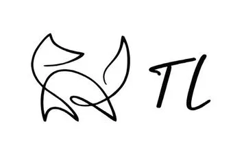 Скачать курс «Техника "Из чёрного в блонд" (Татьяна Лисина)» — слив курса
