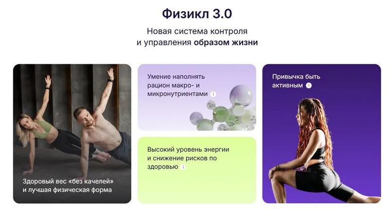 Скачать курс «Физикл 3.0 (Олег Зингилевский)» — слив курса