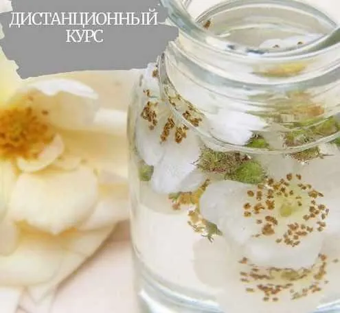 Скачать курс «Растения в косметике. Активы своими руками (Полина Мелиховская)» — слив курса
