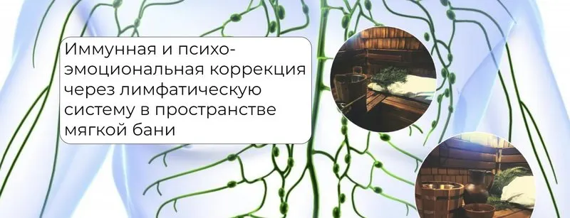 Скачать курс «Иммунная и психо-эмоциональная коррекция через лимфатическую систему (Никита Истомин)» — слив курса
