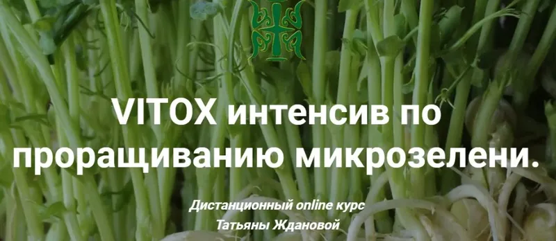 Скачать курс «VITOX интенсив по проращиванию микрозелени 2020 (Татьяна Жданова)» — слив курса