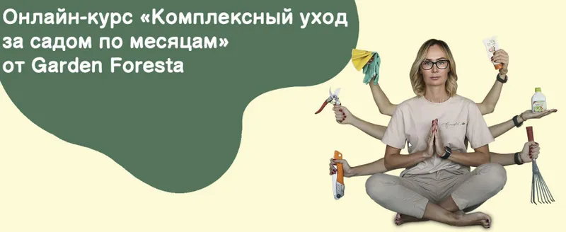 Скачать курс «[Garden Foresta] Комплексный уход за садом по месяцам» — слив курса