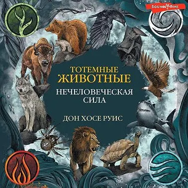 Скачать курс «Тотемные животные. Нечеловеческая сила. Аудиокнига (Дон Хосе Руис)» — слив курса