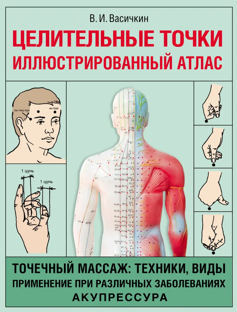 Скачать курс «Целительные точки. Иллюстрированный атлас (Владимир Васичкин)» — слив курса
