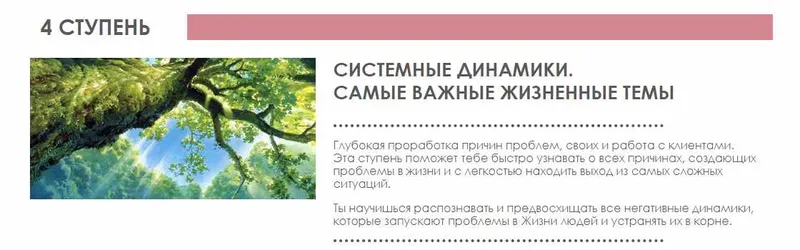 Скачать курс «Обучение ИДИР 4 ступень (Виктория Денежкина)» — слив курса