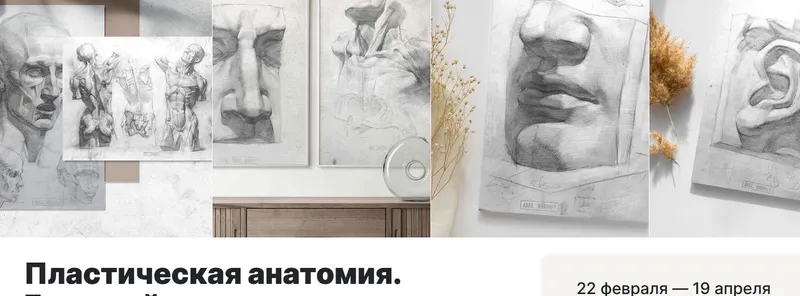 Скачать курс «Пластическая анатомия. Большой курс (Ксения Заварзова)» — слив курса