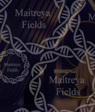 Скачать курс «[Maitreya Fields]  DM: SBR Часть 4: Мимик» — слив курса