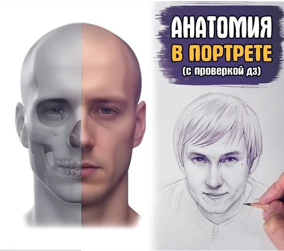 Скачать курс «Анатомия в портрете. Базис (Андрей Марков)» — слив курса