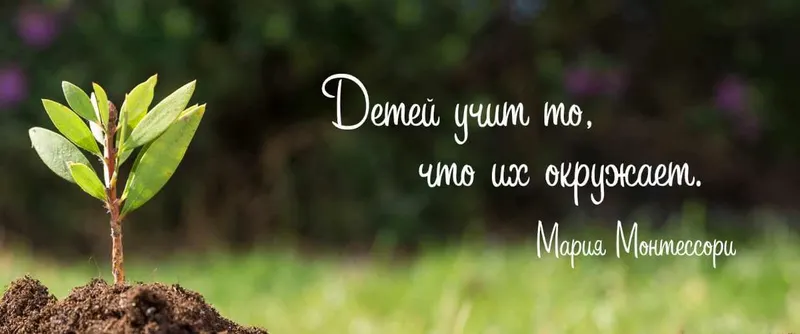 Скачать курс «[montessori-print.store] Карточки Монтессори - Развитие речи 1» — слив курса