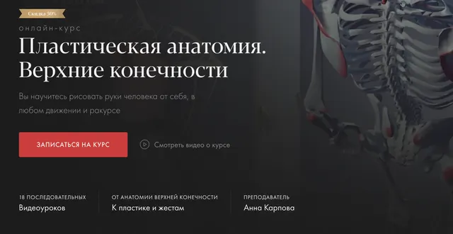 Скачать курс «[Академика] Пластическая анатомия. Верхние конечности (Анна Карпова)» — слив курса