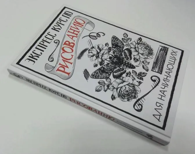 Скачать курс «Экспресс курс по рисованию для начинающих (Мистер Грей)» — слив курса