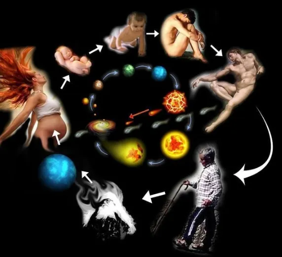 Скачать курс «Фаза Ци: спрятанная инструкция к вашей жизни (Мария Гнатовская)» — слив курса