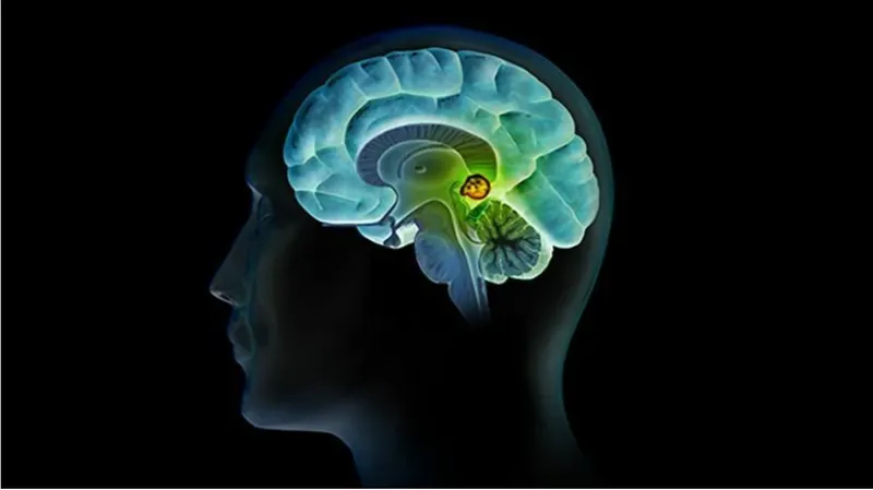 Скачать курс «[Sigh Energy] Активация шишковидной железы Powerful Plus + 11x (Extra Strong). Pineal Gland Activation Powerful Plus +11x(Extra Strong)» — слив курса