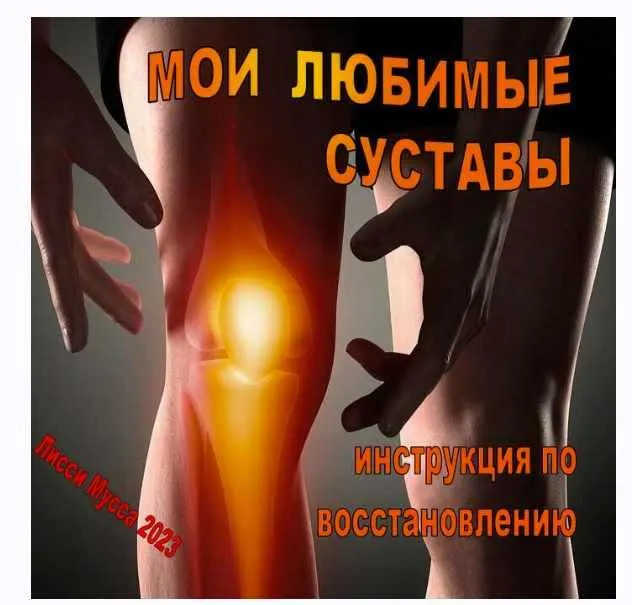 Скачать курс «Мои любимые суставы. Инструкция по восстановлению (Лисси Мусса)» — слив курса